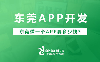 東莞APP軟件開(kāi)發(fā)費(fèi)用解析 從需求到落地的預(yù)算構(gòu)成